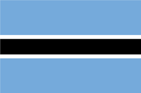 bots flag
